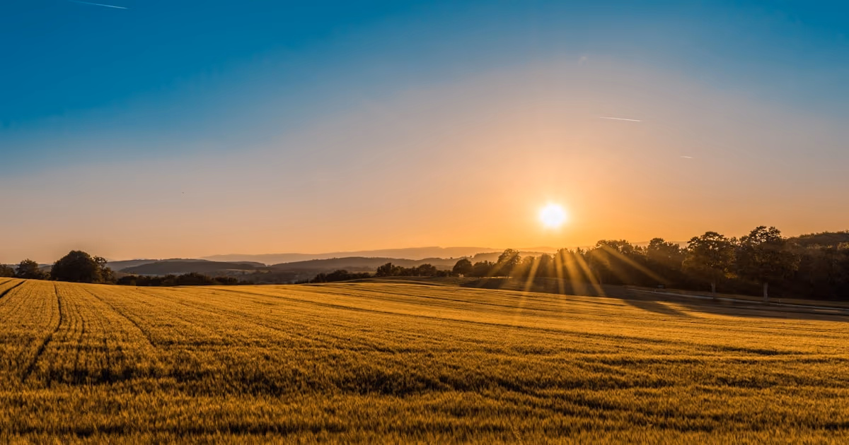 Rolling rural farmland at golden hour with a farmhouse and open fields — beginner homesteading in the USA